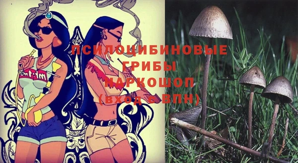 героин Алексин