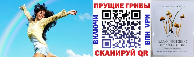 hydra онион Стародуб Галлюциногенные грибы Cubensis